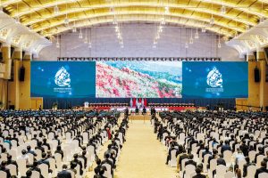 10月11日，《生物多样性公约》第十五次缔约方大会在云南昆明开幕。这是开幕式上播放的大象主题短片。 新华社