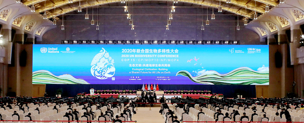 2020年联合国生物多样性大会第一阶段会议在昆明闭幕
